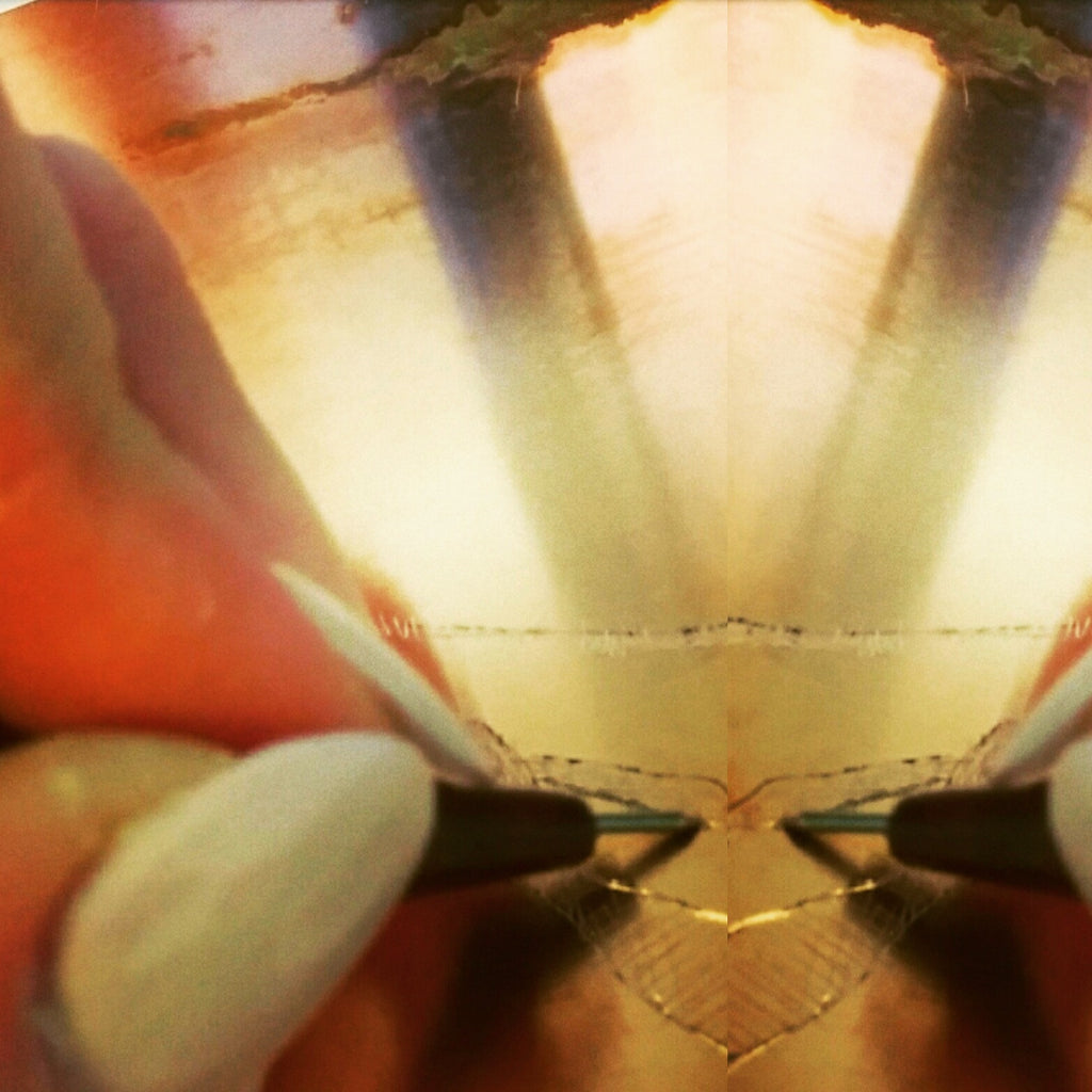 K O L D N Å L | Drypoint skravering